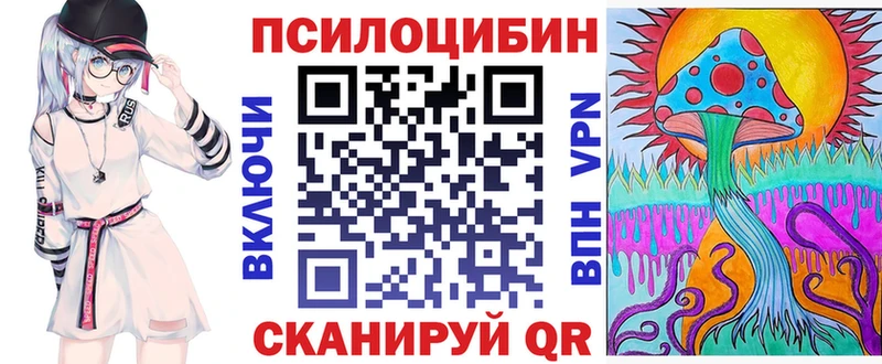 где купить наркотик  mega ТОР  Псилоцибиновые грибы ЛСД  Давлеканово 